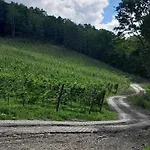 Na Winnicy - Winnica Talaska * Melsztyn