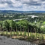 Na Winnicy - Winnica Talaska * Melsztyn