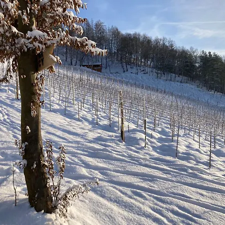 Domek alpejski Na Winnicy - Winnica Talaska *