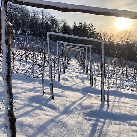 Na Winnicy - Winnica Talaska