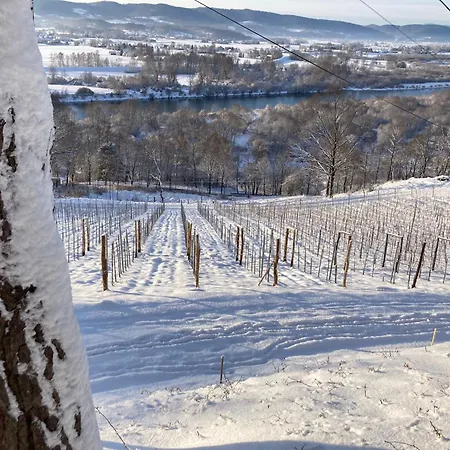 Chalet Na Winnicy - Winnica Talaska *