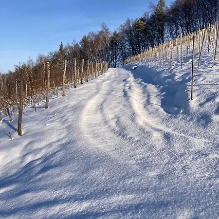 Na Winnicy - Winnica Talaska * Melsztyn