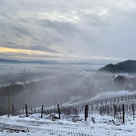 Na Winnicy - Winnica Talaska *