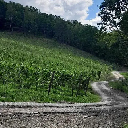 Na Winnicy - Winnica Talaska * Melsztyn