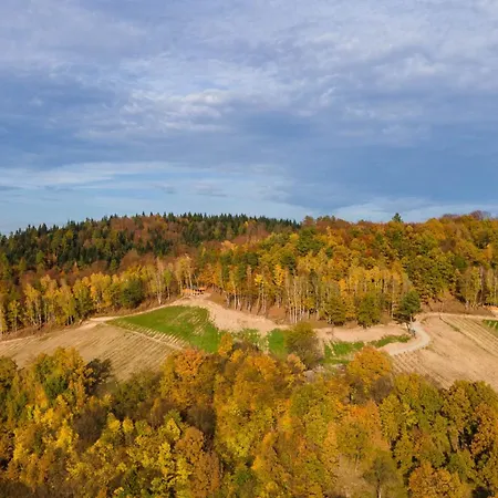 Na Winnicy - Winnica Talaska * Melsztyn