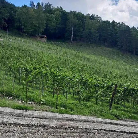 Na Winnicy - Winnica Talaska Chalet Melsztyn