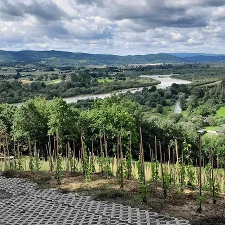 Na Winnicy - Winnica Talaska * Melsztyn