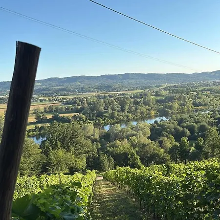 Na Winnicy - Winnica Talaska * Melsztyn
