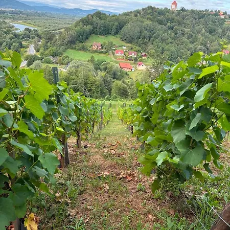 Na Winnicy - Winnica Talaska Chalet Melsztyn