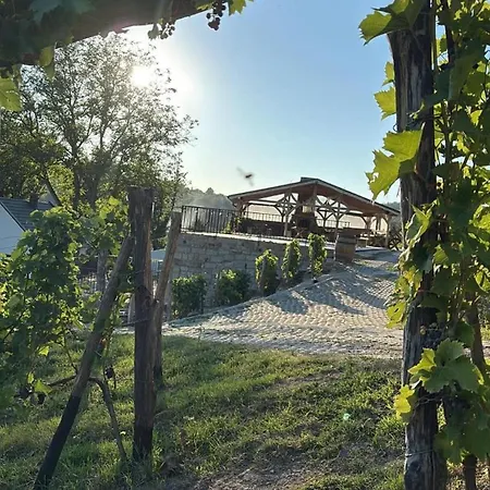 Na Winnicy - Winnica Talaska * Melsztyn