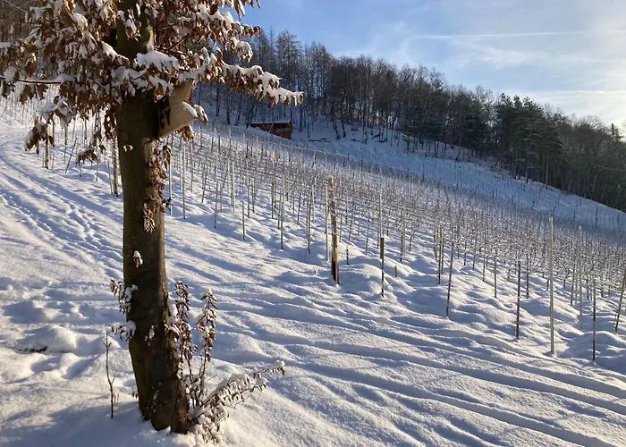 Chalet Na Winnicy - Winnica Talaska *