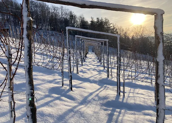 Na Winnicy - Winnica Talaska
