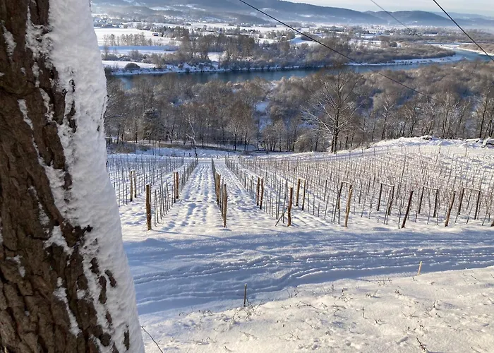 Chalet Na Winnicy - Winnica Talaska *