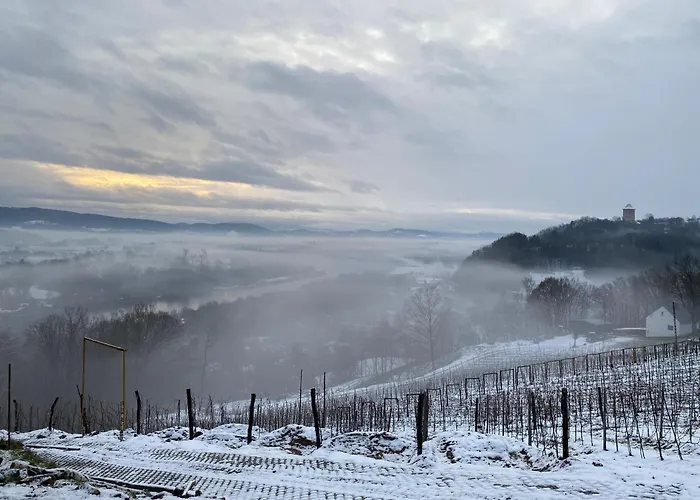 Na Winnicy - Winnica Talaska *