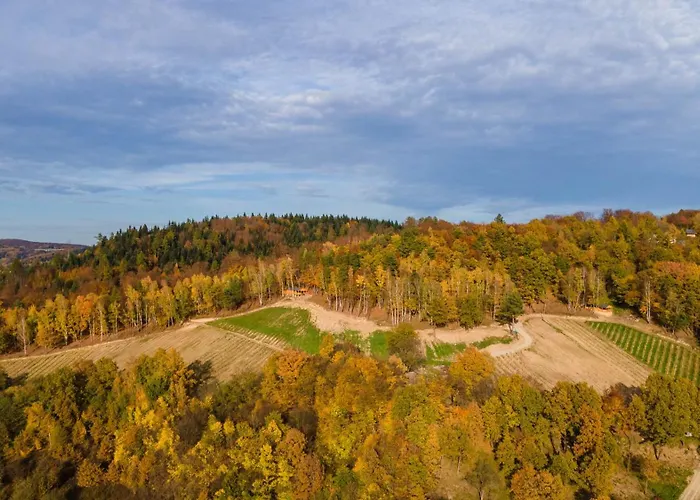 Na Winnicy - Winnica Talaska * Melsztyn