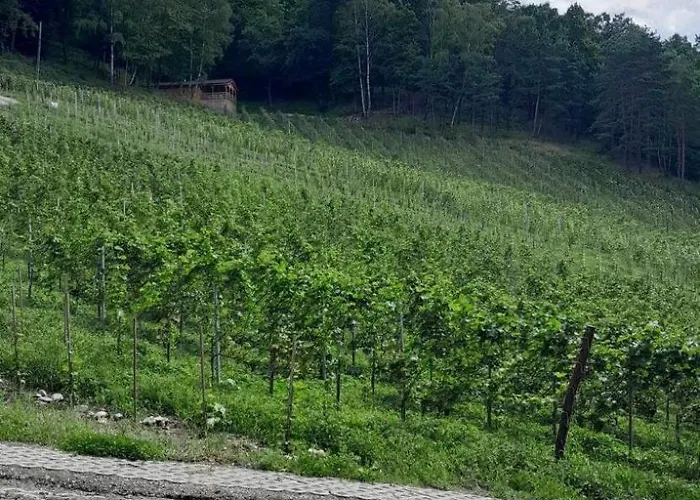 Na Winnicy - Winnica Talaska Chalet Melsztyn