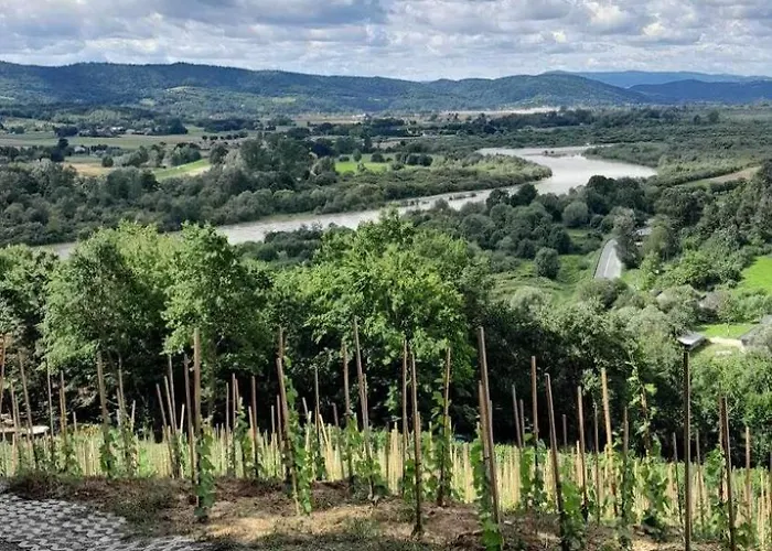 Na Winnicy - Winnica Talaska * Melsztyn